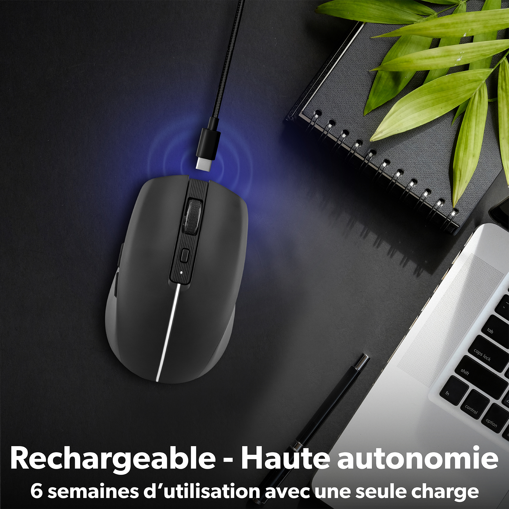 Souris rechargeable DUAL CONNECT noire - GRADIENT4