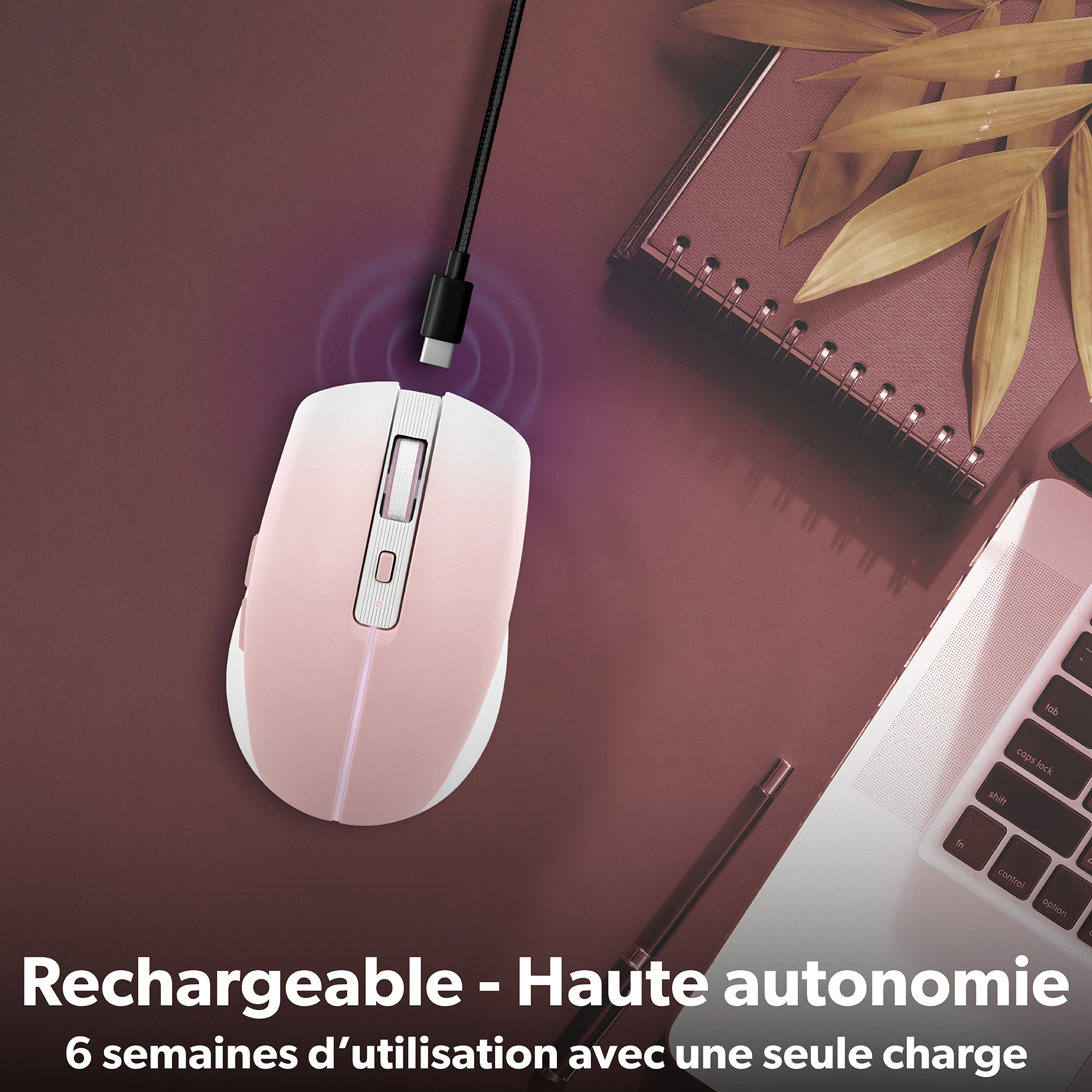 Souris colorée rechargeable DUAL CONNECT rose - GRADIENT4