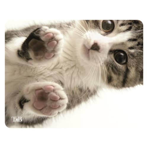 Tapis illustré KITTY T’nB