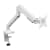 Brazo articulado para monitor - blanco