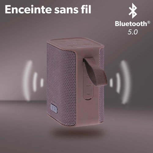 Enceinte sans fil TWS RECORD V1 rose 2e génération3