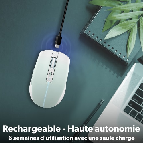 Souris colorée rechargeable dual connect bleue - GRADIENT4
