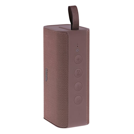 TWS RECORD V2 Wireless Speaker Pink 2nd Generation