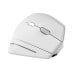 Souris sans fil ergonomique verticale double connexion Bluetooth + USB-A